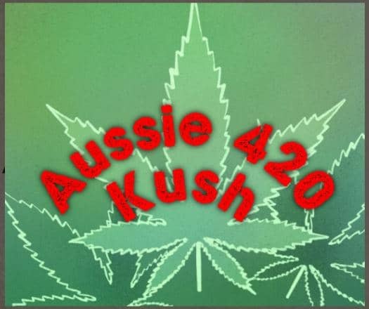 Aussie 420 Kush | Buy Weed | Buy weed online in Australia | thc vape carts | weed in Aussie | dank | 420 | weed store Aussie | Buy thc vape in Australia | Order weed pen | weed pen | weed cart | thc | thc online shop | dank weed
