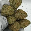Buy Stardawg Weed Online